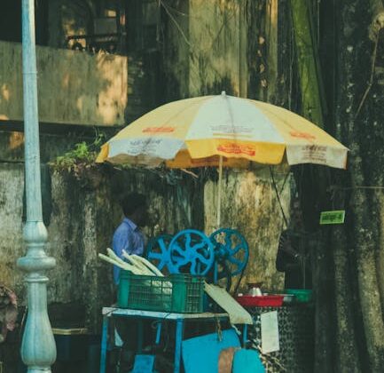 Cách Tropical Food Machinery Srl giúp doanh nghiệp tiết kiệm chi phí vận hành