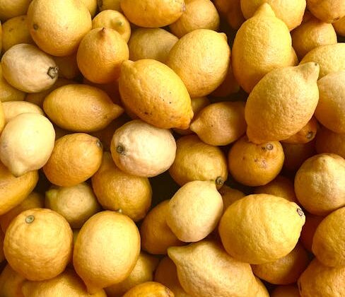 Đánh giá công nghệ ép trái cây hiện đại của Tropical Food Machinery Srl