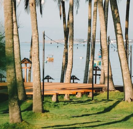 Nước ép chanh dây cô đặc: Thức uống giải nhiệt mùa hè