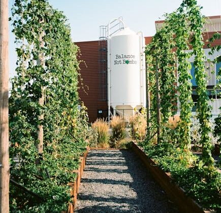 Cách kết hợp nước ép chanh dây cô đặc với các loại trái cây khác