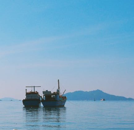 Nước ép chanh dây cô đặc và vai trò của nó trong ẩm thực Việt Nam