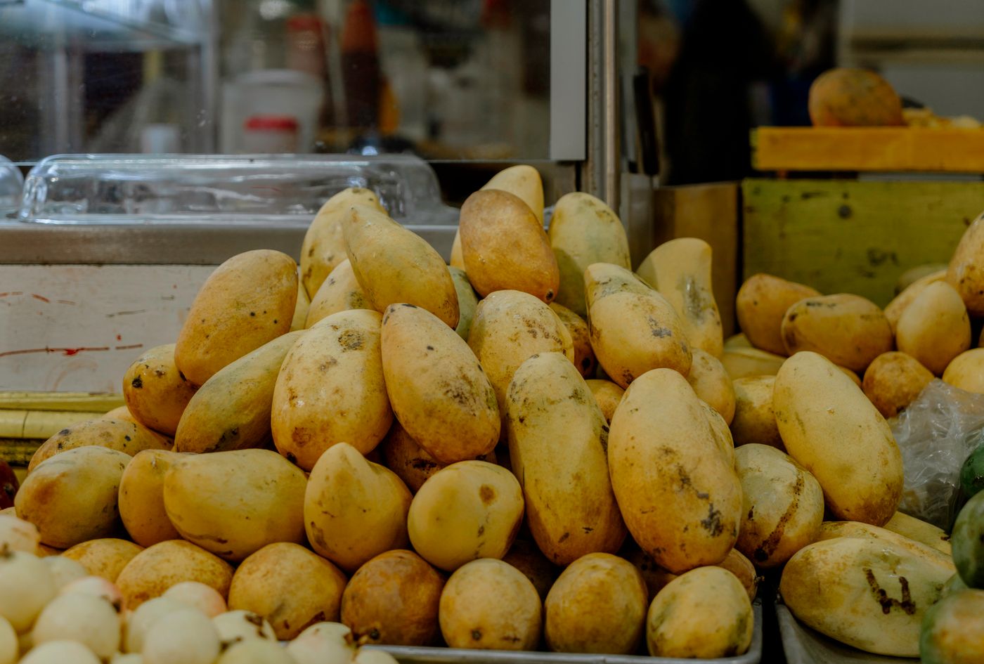 Thị trường Trung Đông: chứng nhận Halal, tiêu chuẩn GSO và nhu cầu nguyên liệu cho đồ uống hoàn nguyên